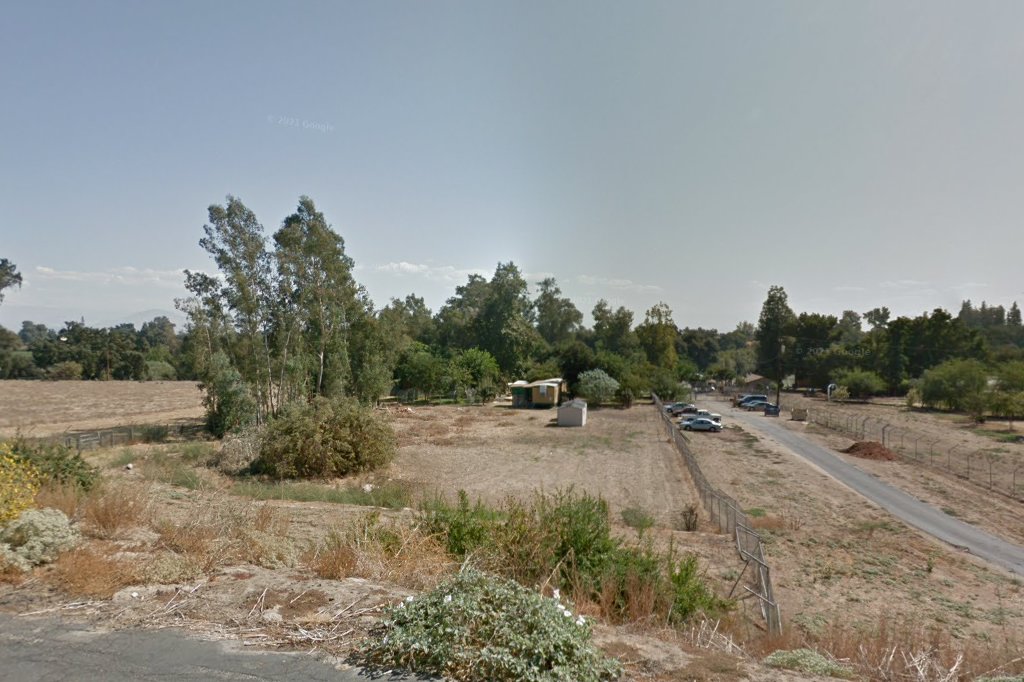 Cat House On the Kings