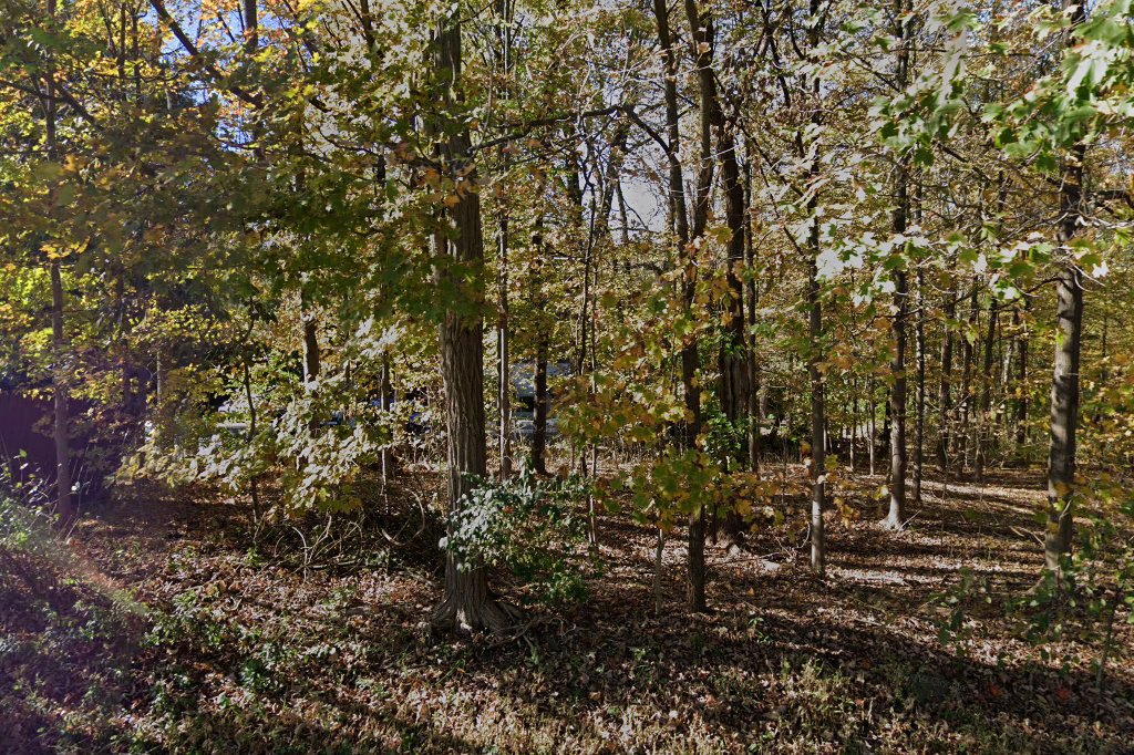 Animal Hospital of Wappingers Falls