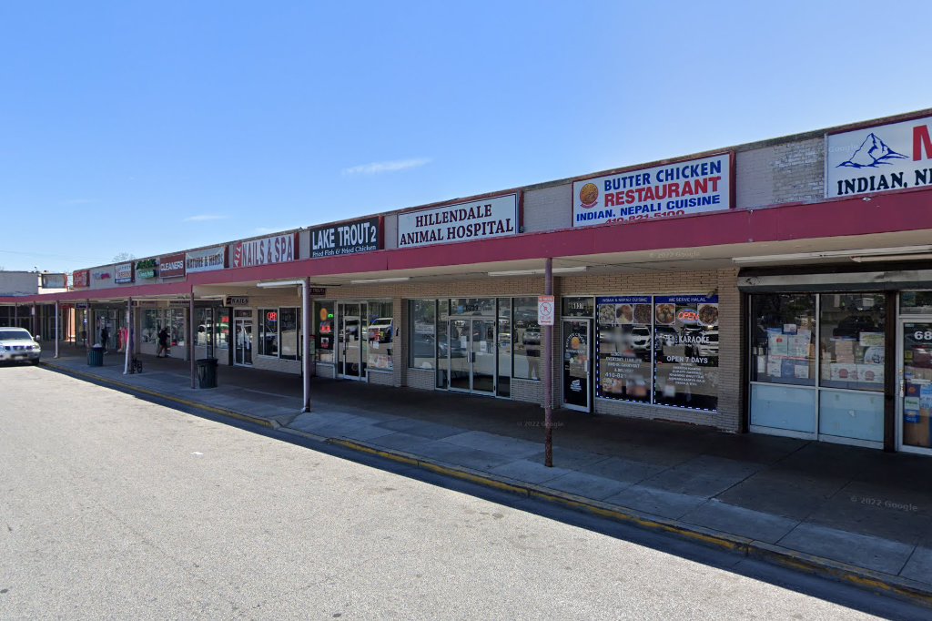 Hillendale Animal Hospital