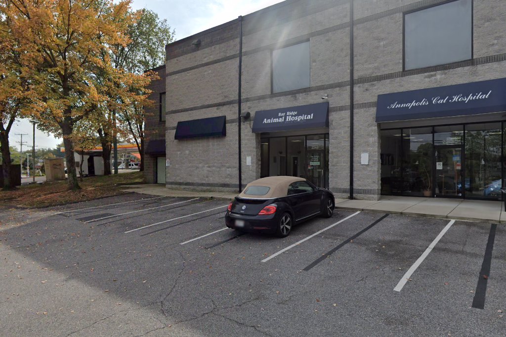 Annapolis Cat Hospital