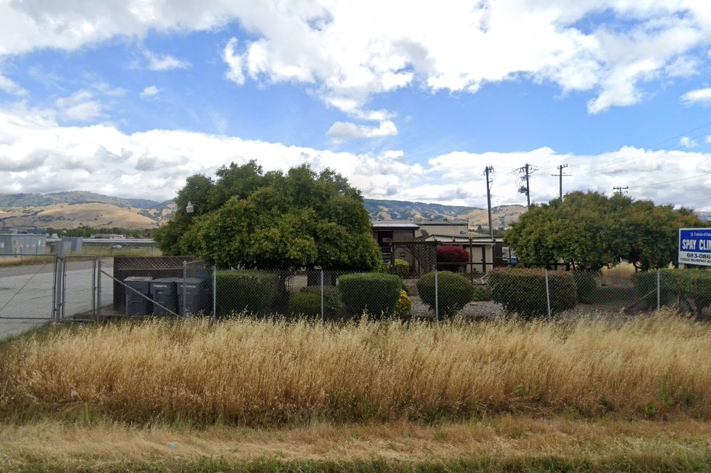 St. Francis of Assisi