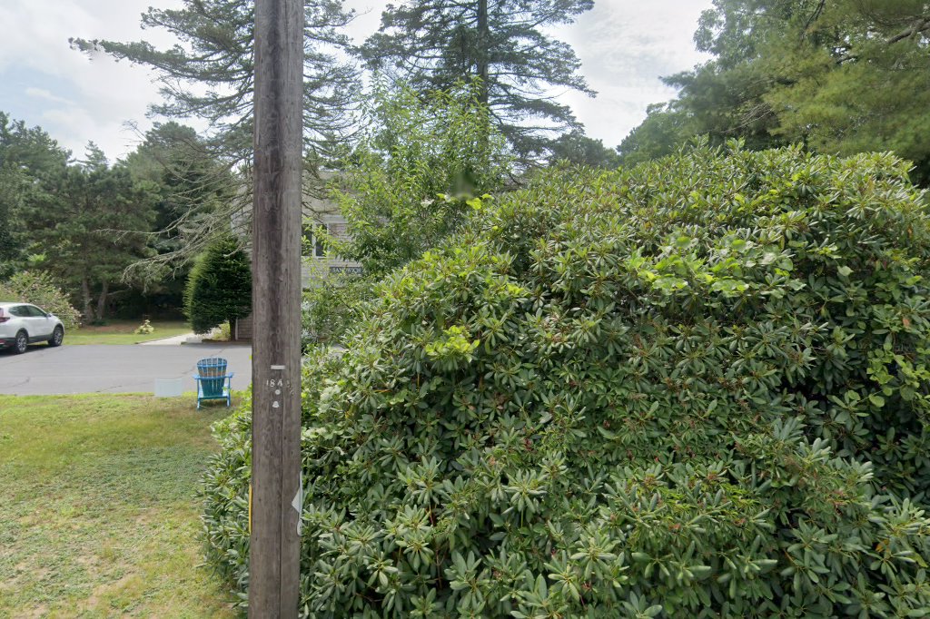 Sandwich Animal Hospital