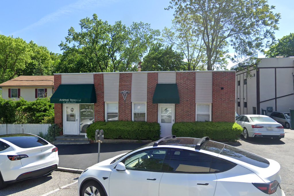 Animal Hospital of White Plains