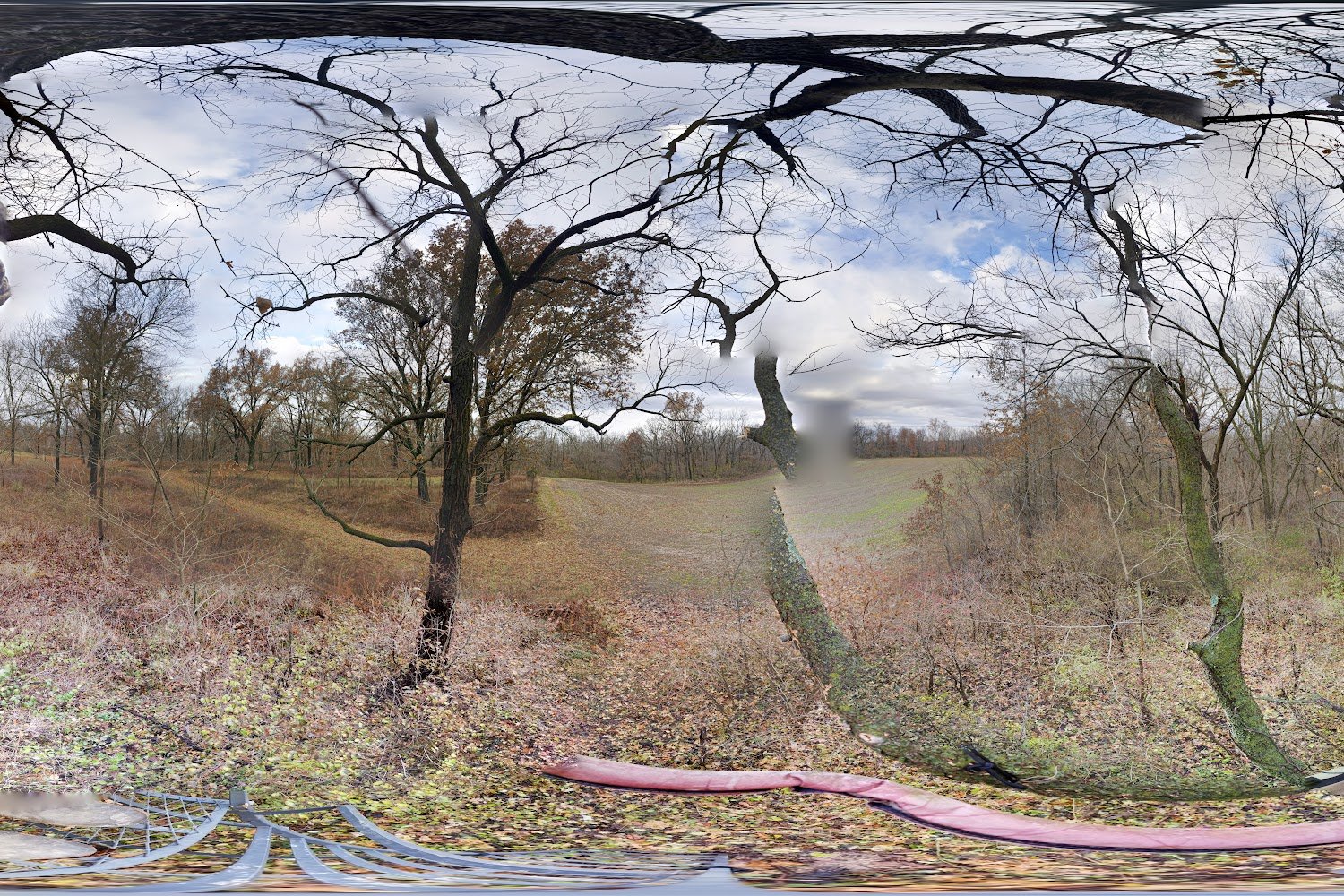 Madison County Humane Society