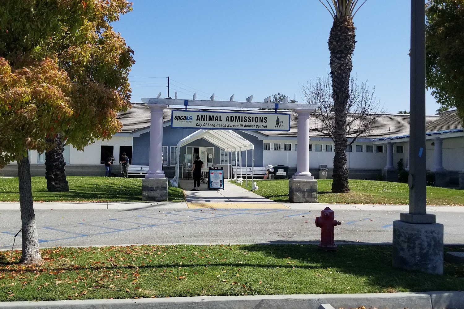 Long Beach Animal Control