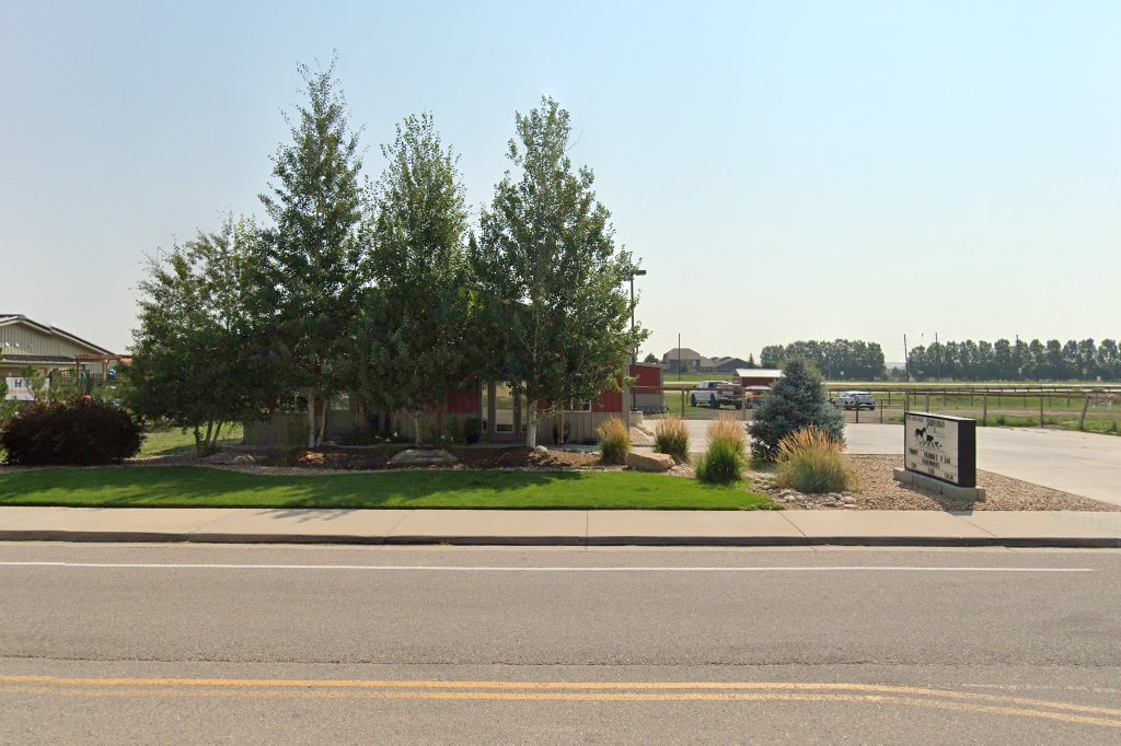 Tabby Road Animal Hospital