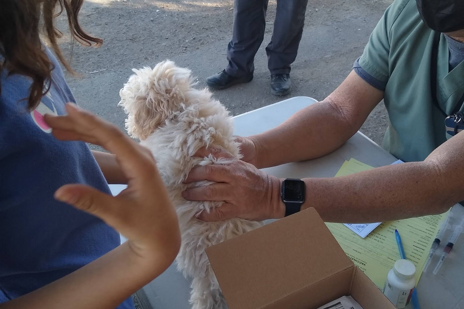 Imperial County Animal Control