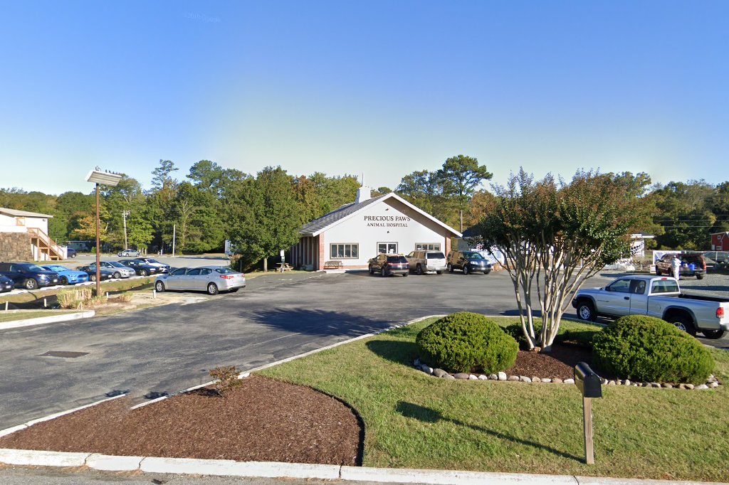 Ocean City Animal Hospital