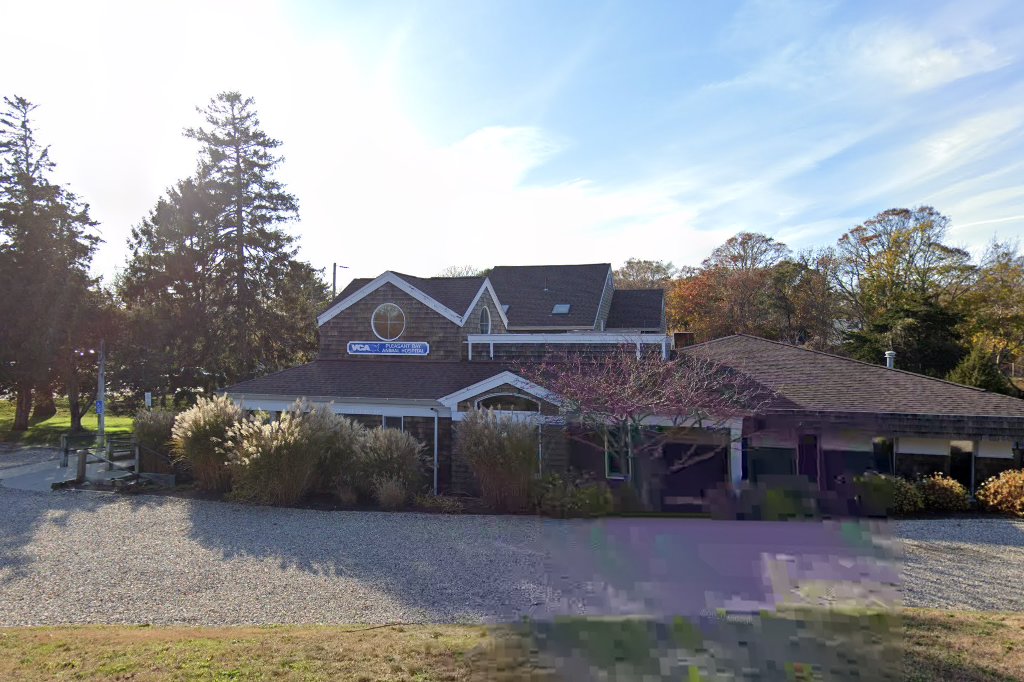 VCA Pleasant Bay Animal Hospital