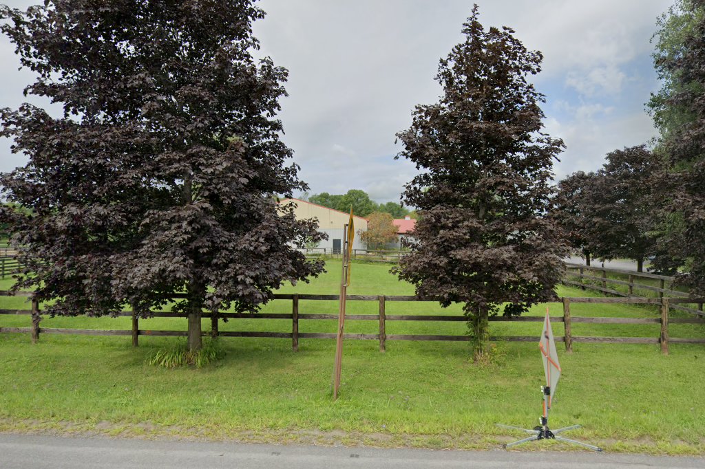 Lawton Animal Hospital