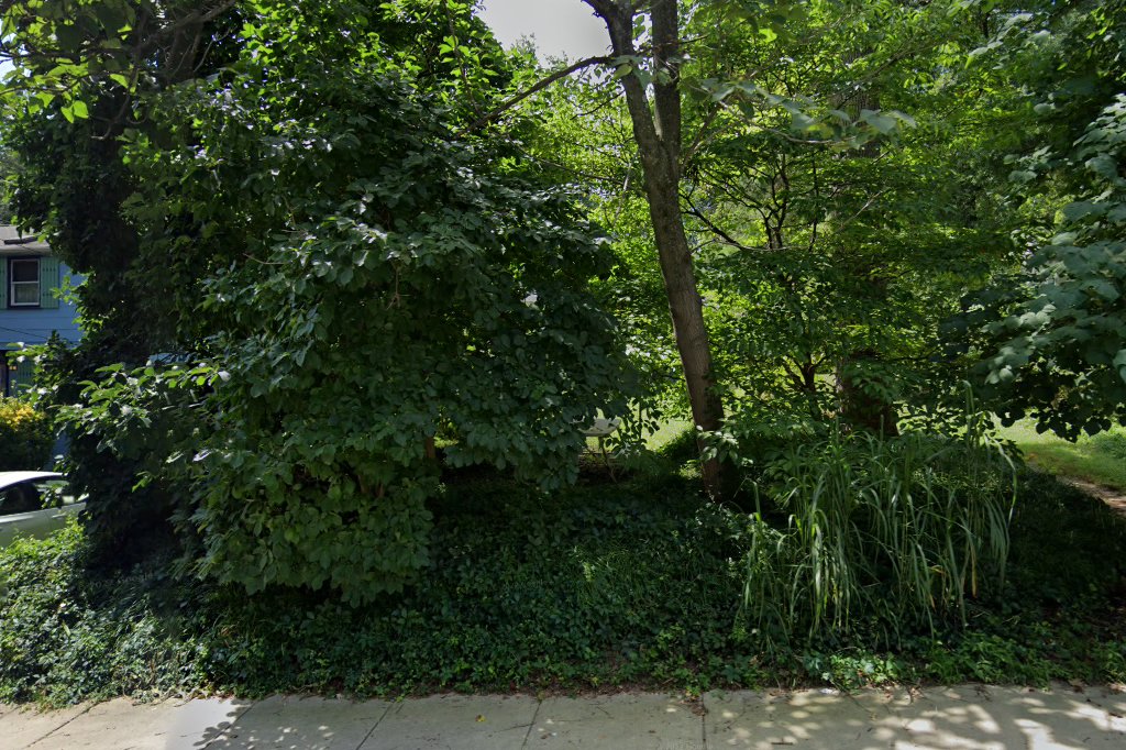 Greyhound Welfare, Inc.