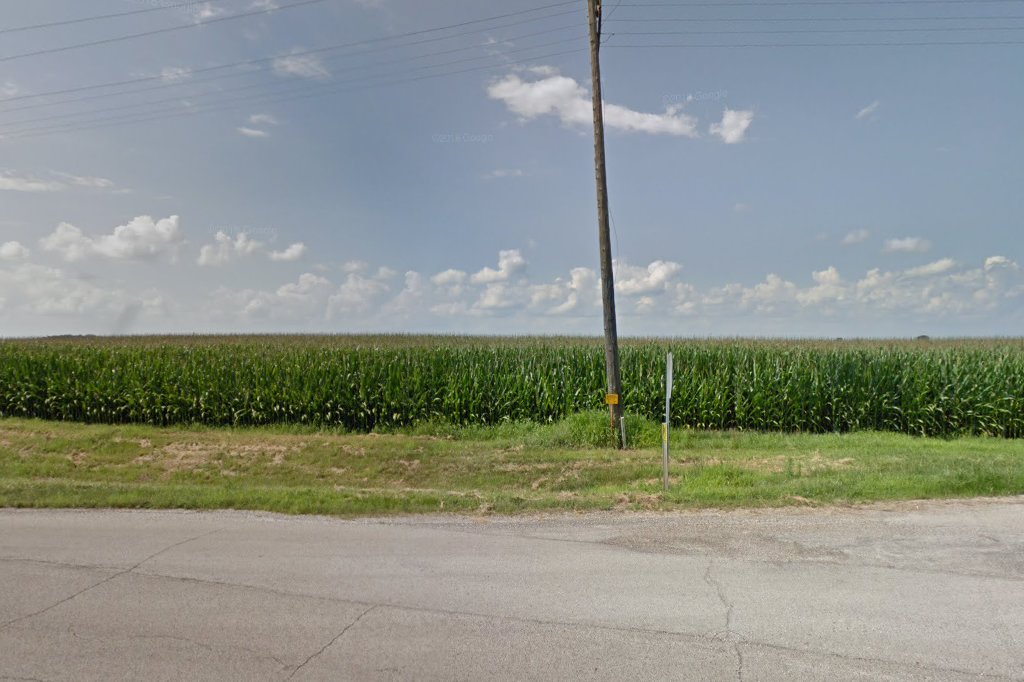 Mason County Animal Control