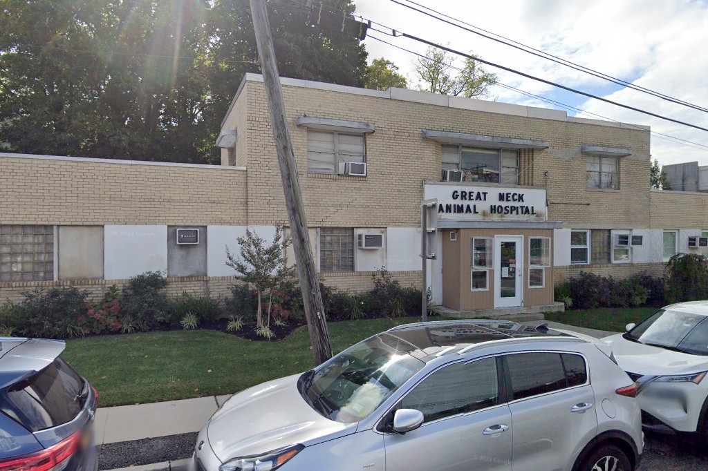 Great Neck Animal Veterinary