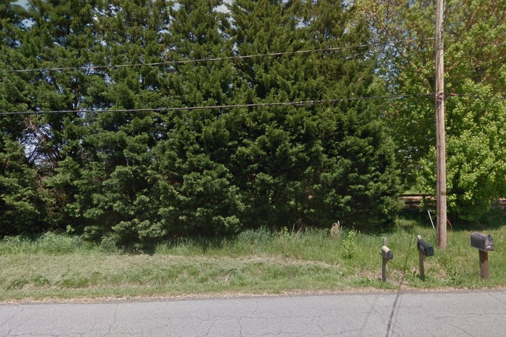 Kent County Border Collie Rescue