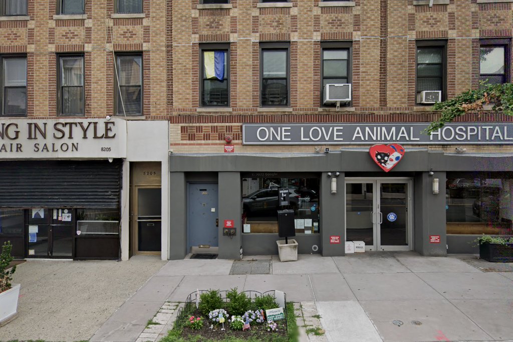 One Love Animal Hospital