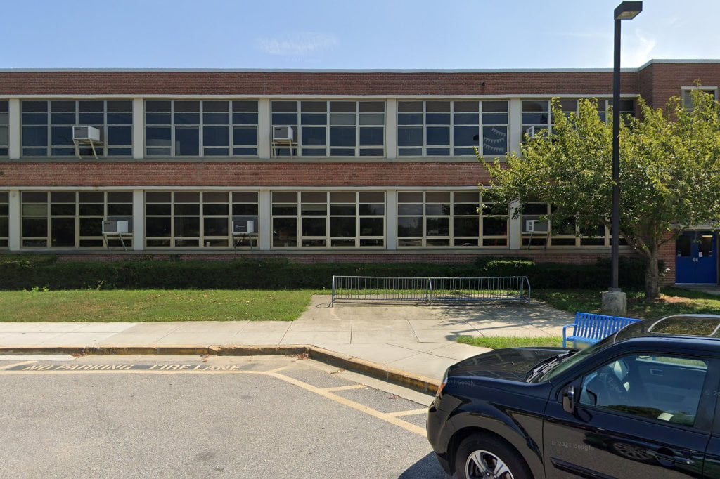 Cool Cats Rescue Adoption