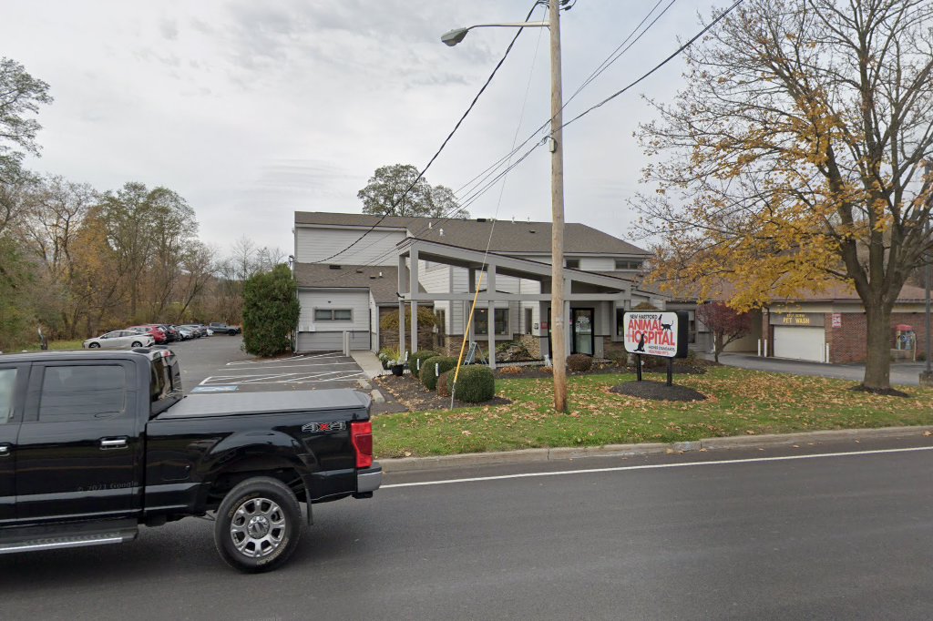 New Hartford Animal Hospital
