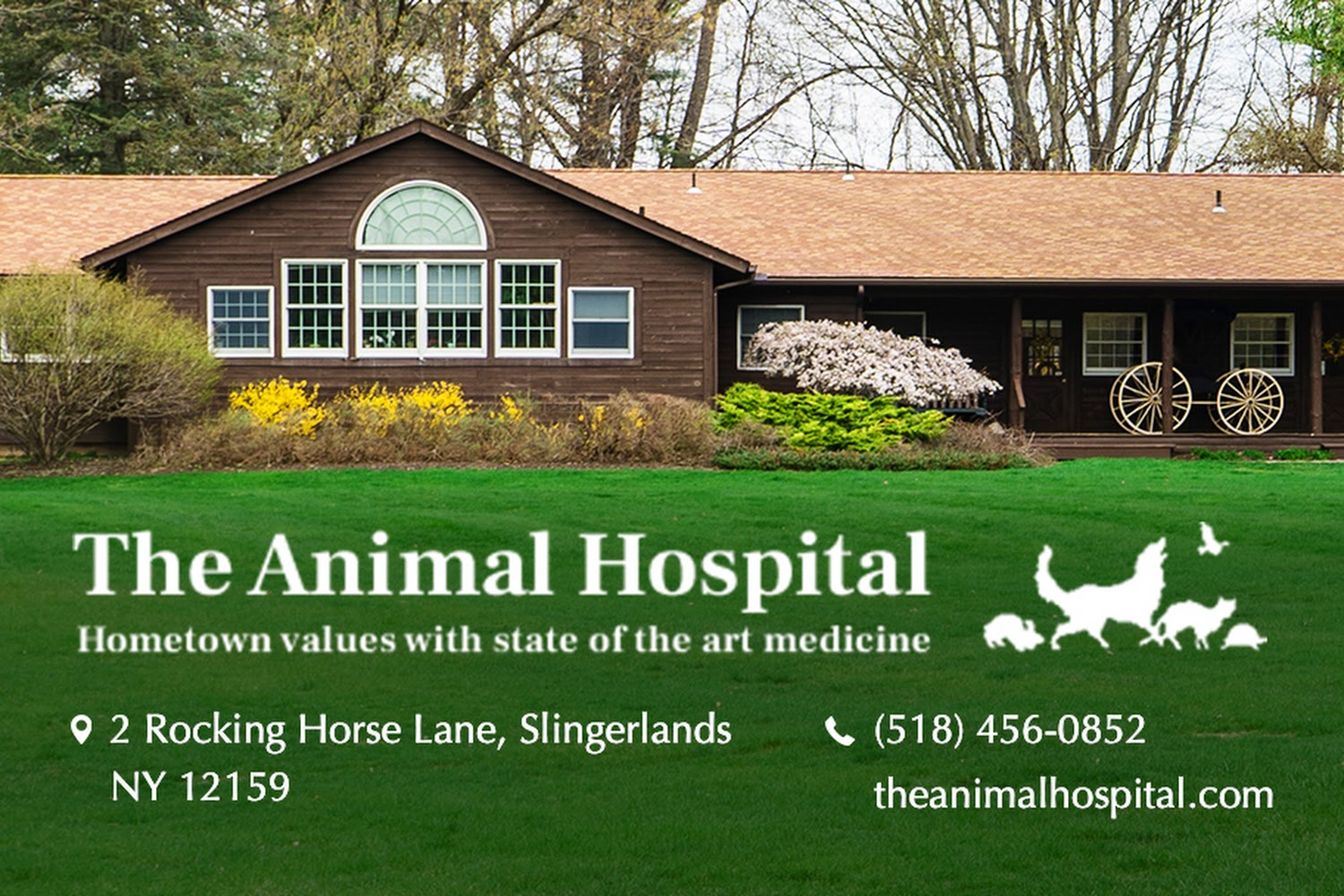 The Animal Hospital