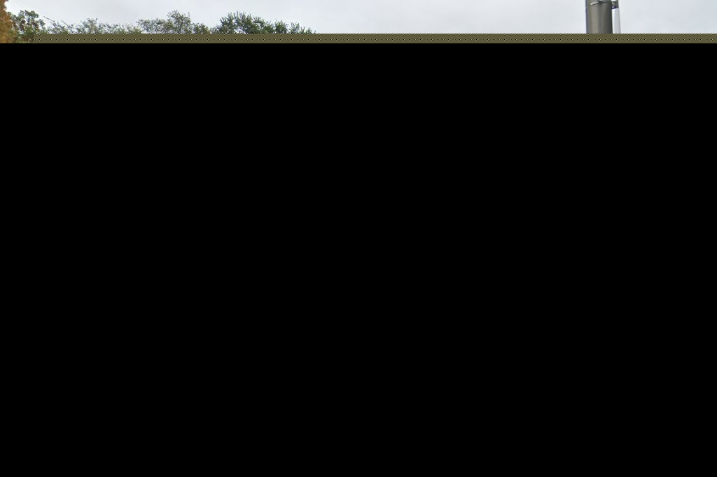 Wignall Animal Hospital