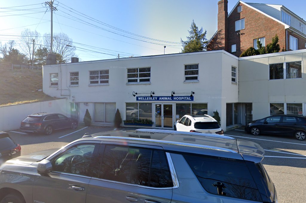 Wellesley Animal Hospital