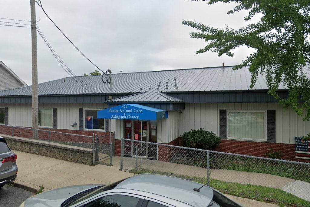 Faxon Animal Rescue League