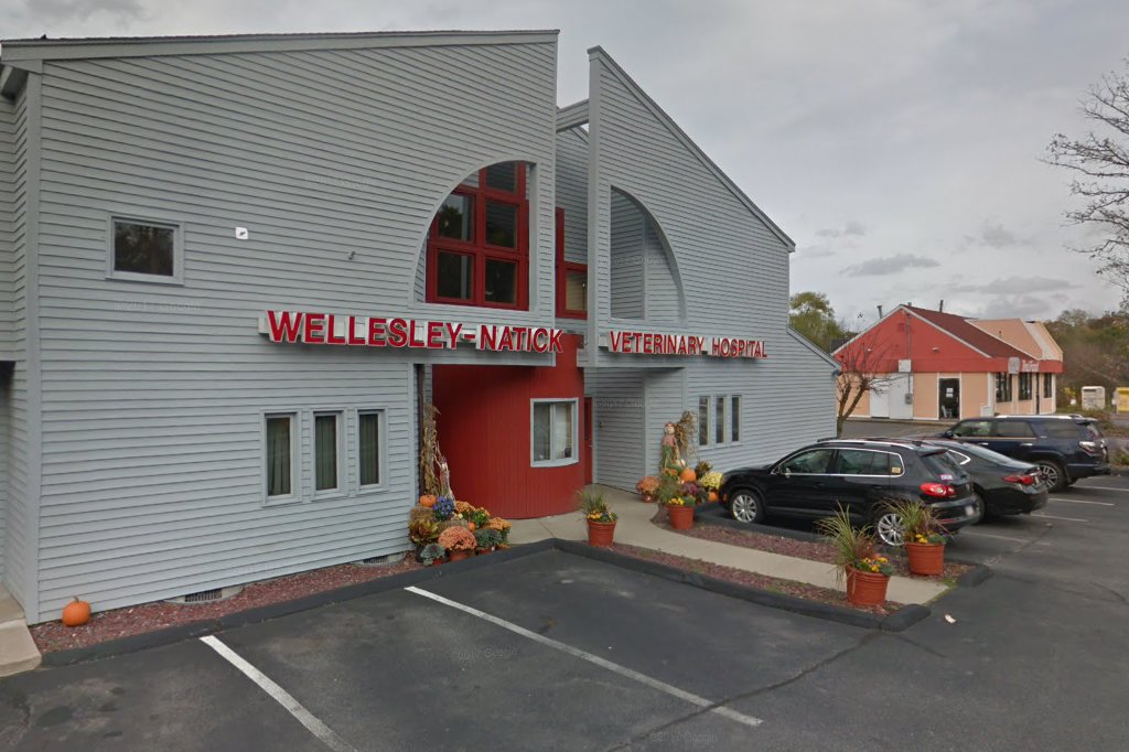 Wellesley-Natick Veterinary Hospital