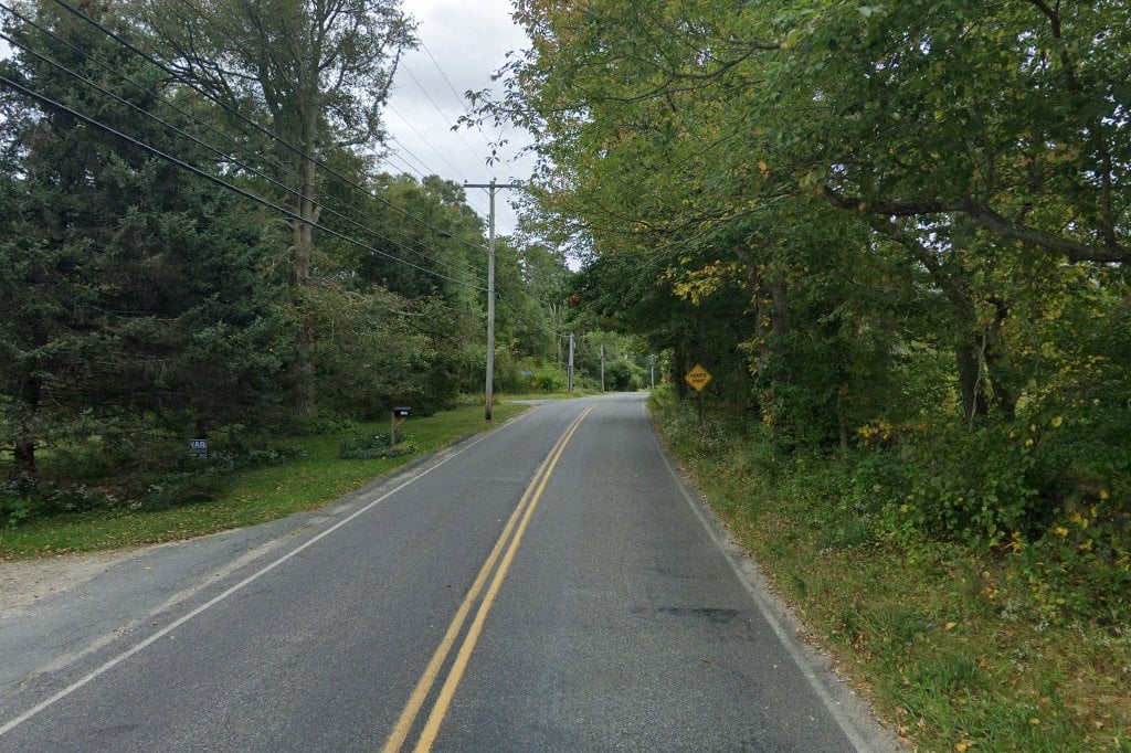 Jeffs Companion Animal Shelter