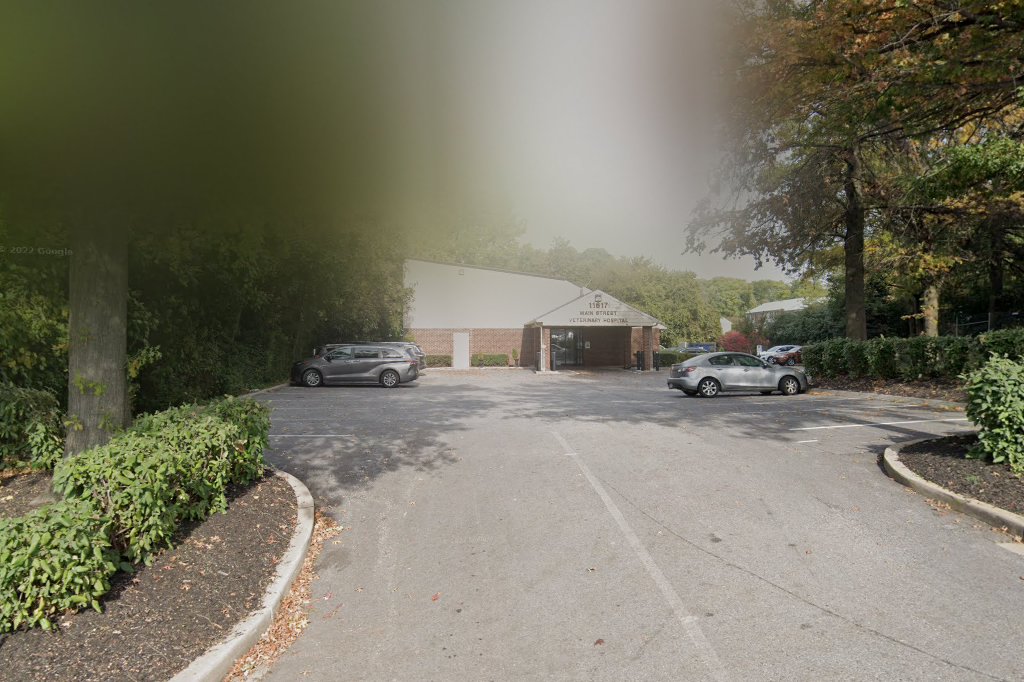 Main Street Veterinary Hospital