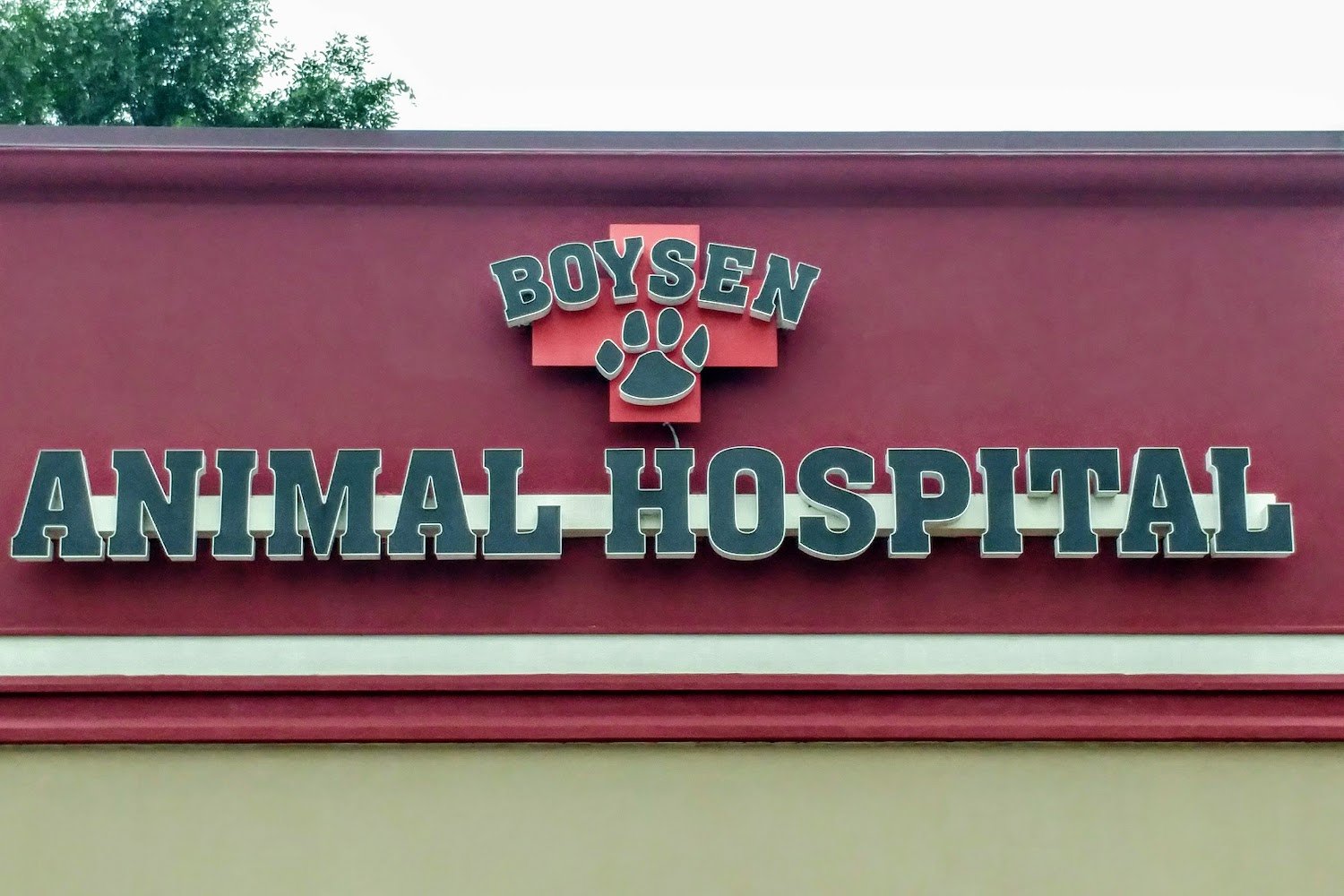 Boysen Animal Hospital