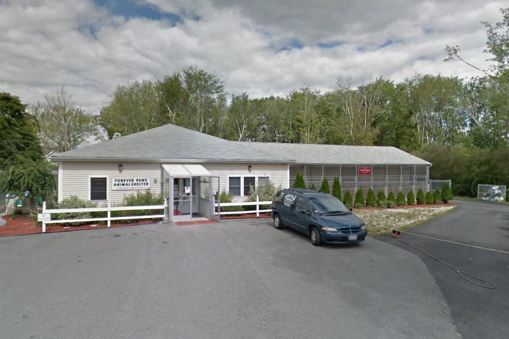 Forever Paws Animals Shelter