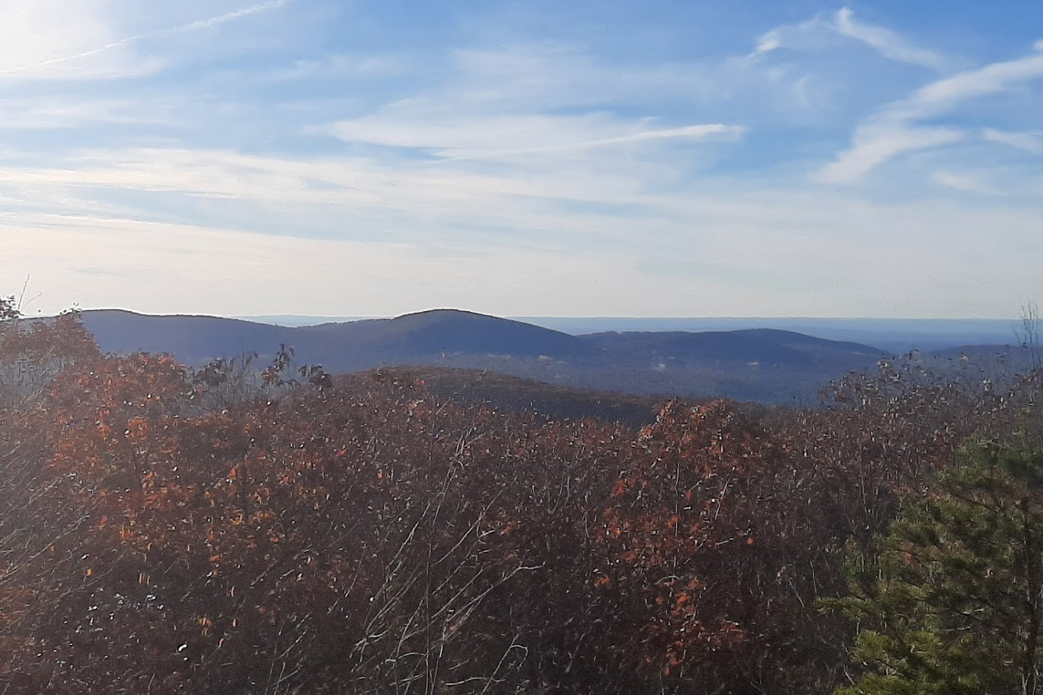 Butler Schein Animal Health