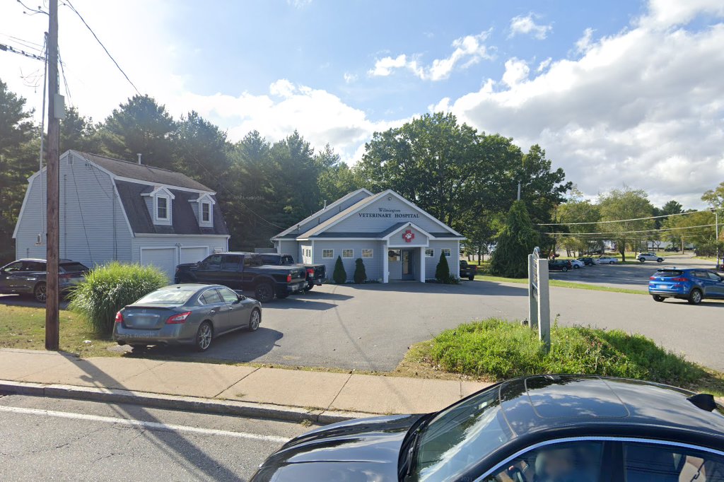 Wilmington Veterinary Hospital