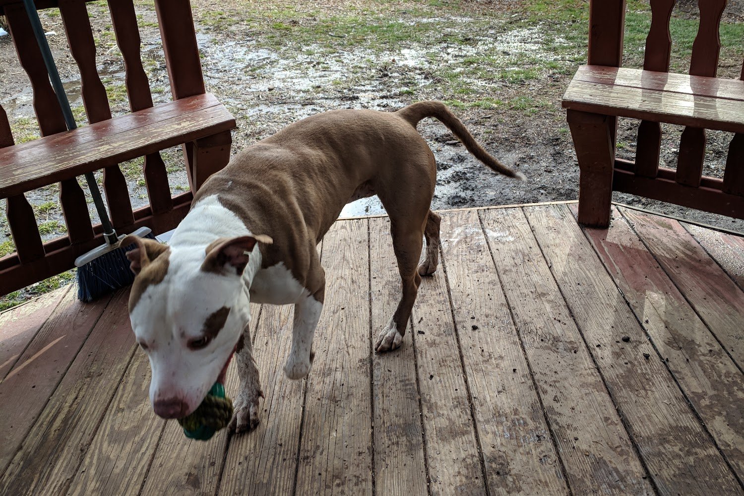 Tri-County Animal Shelter