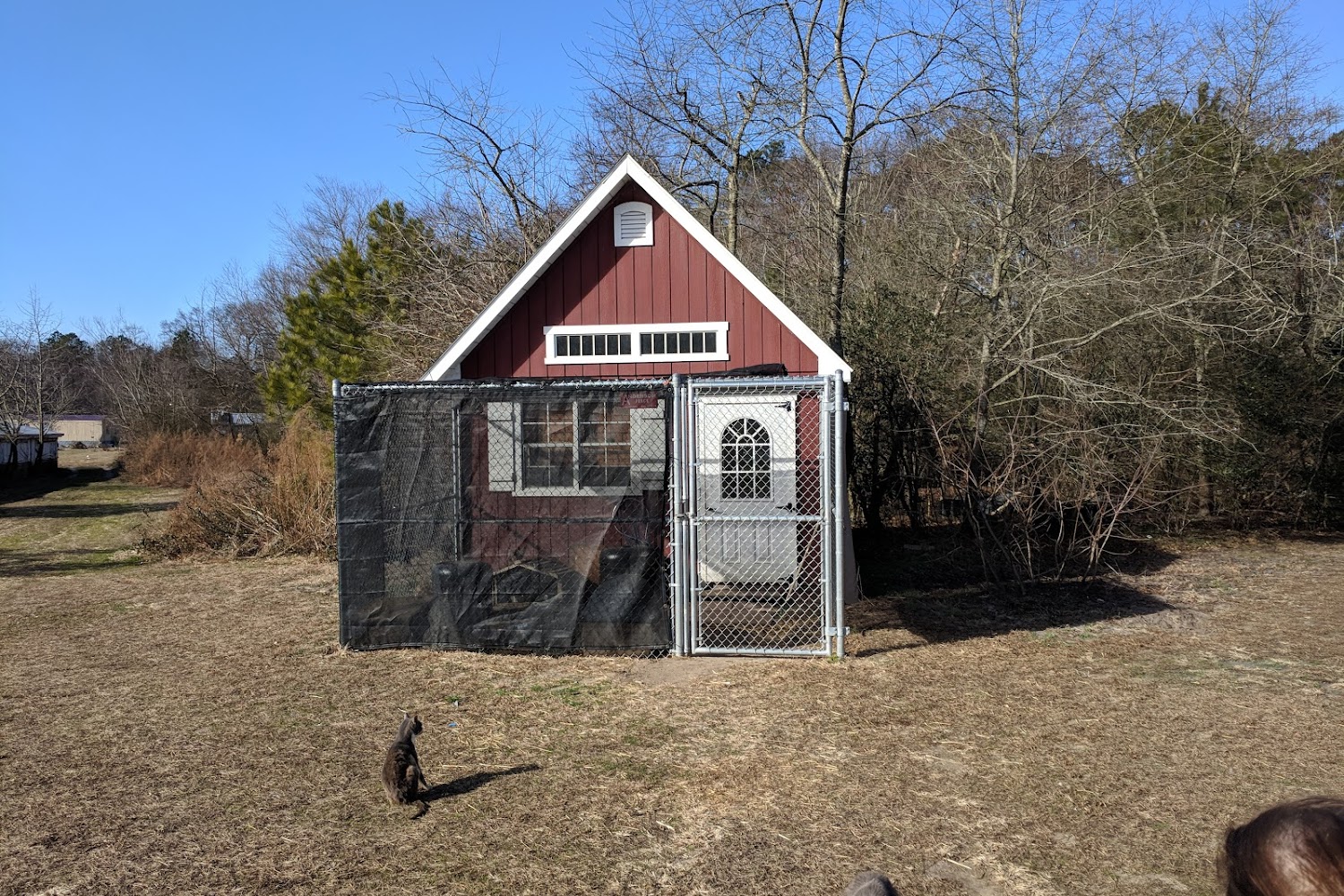 Good Shepherd Cat Sanctuary