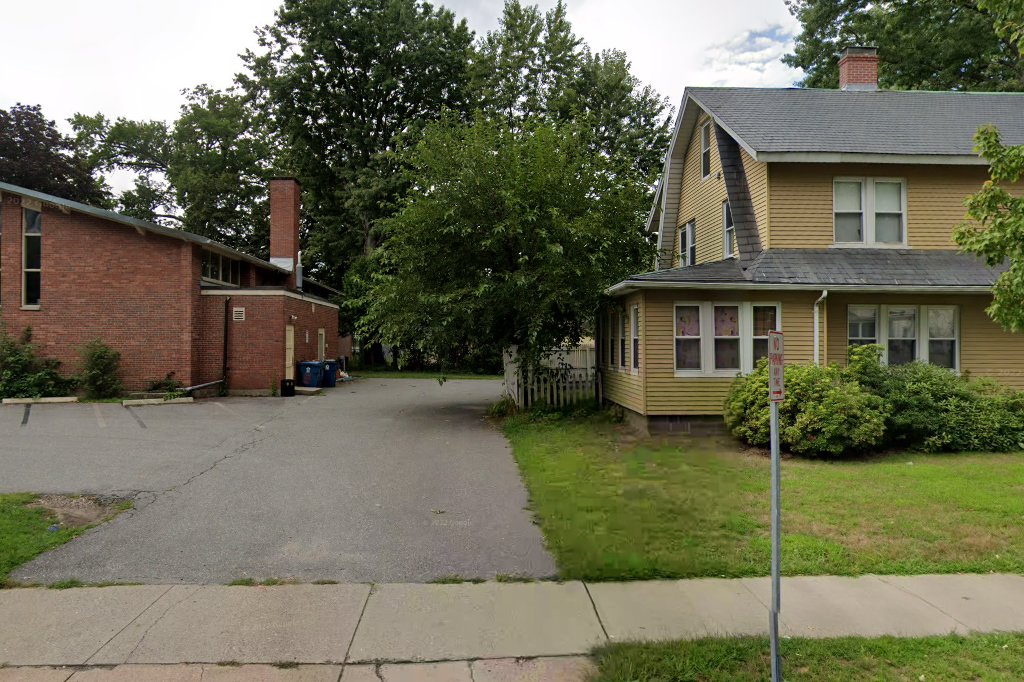 Friends Assisting Canines With Essential Services