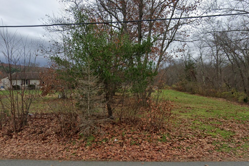 King Bridge Equine Rescue