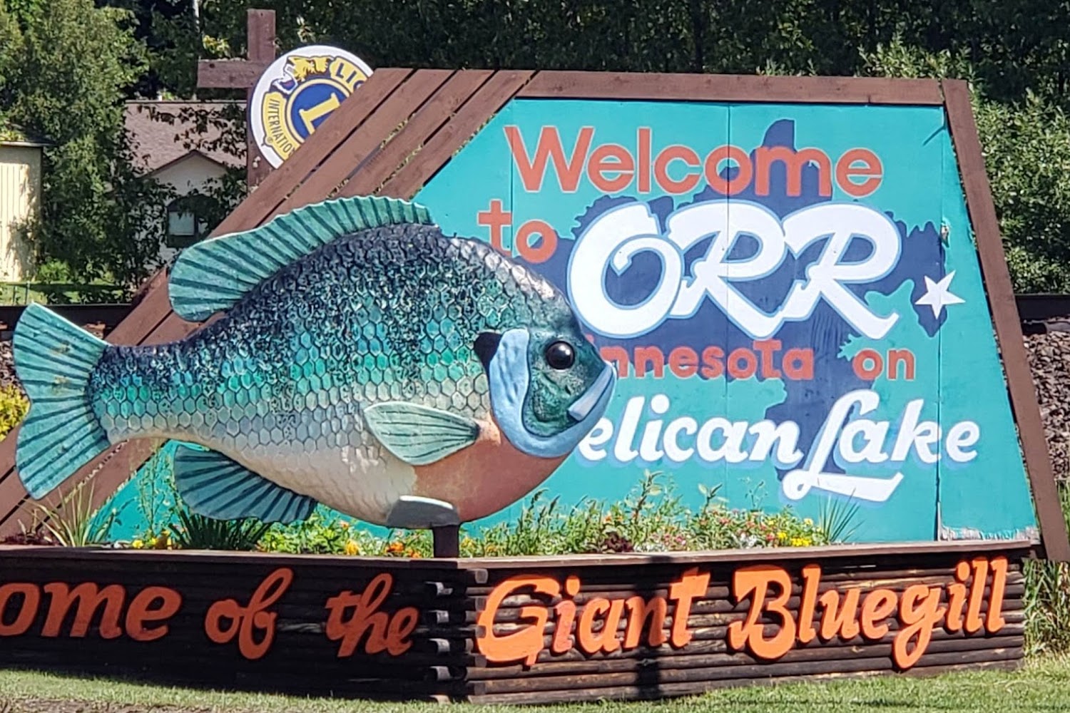 American Bear Association