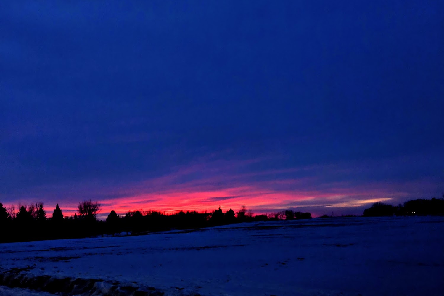 Waseca County Humane Society