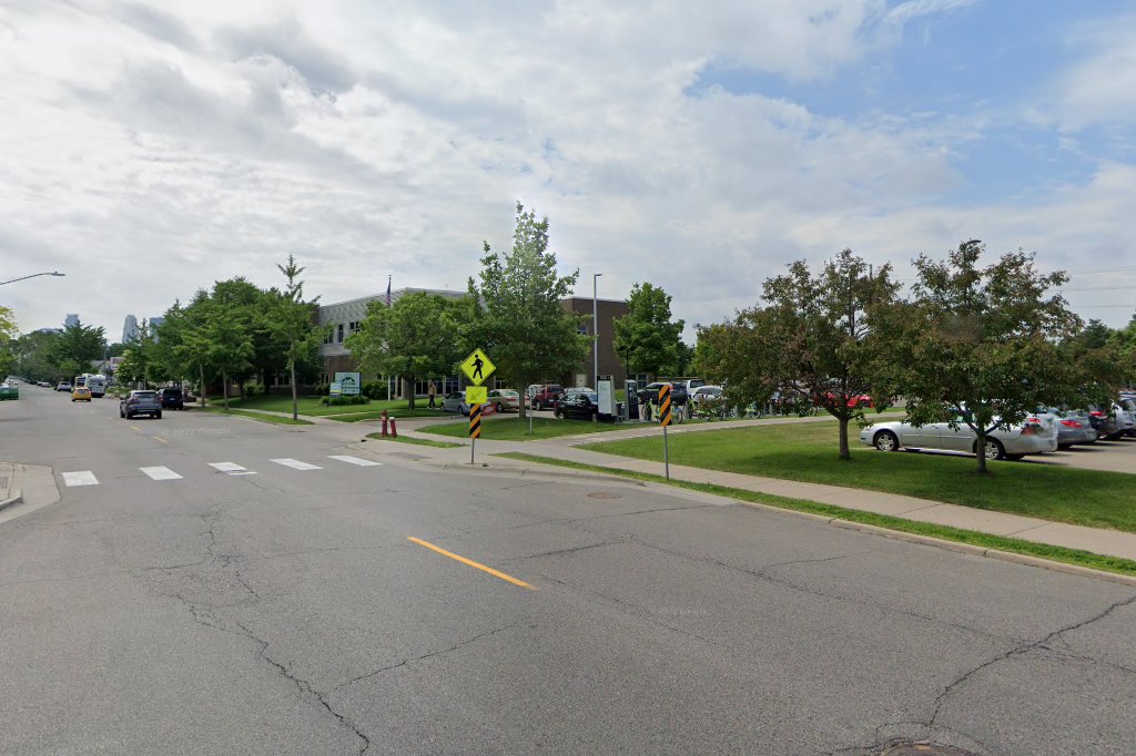 Second Chance St. Bernard Rescue