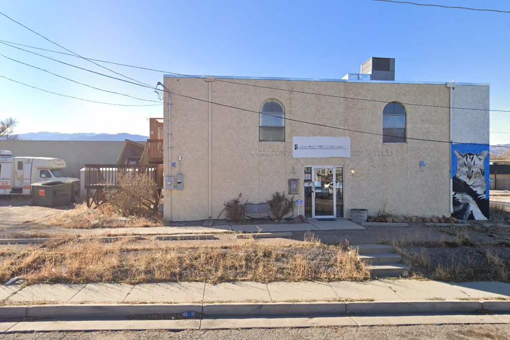 Look What the Cat Brought In