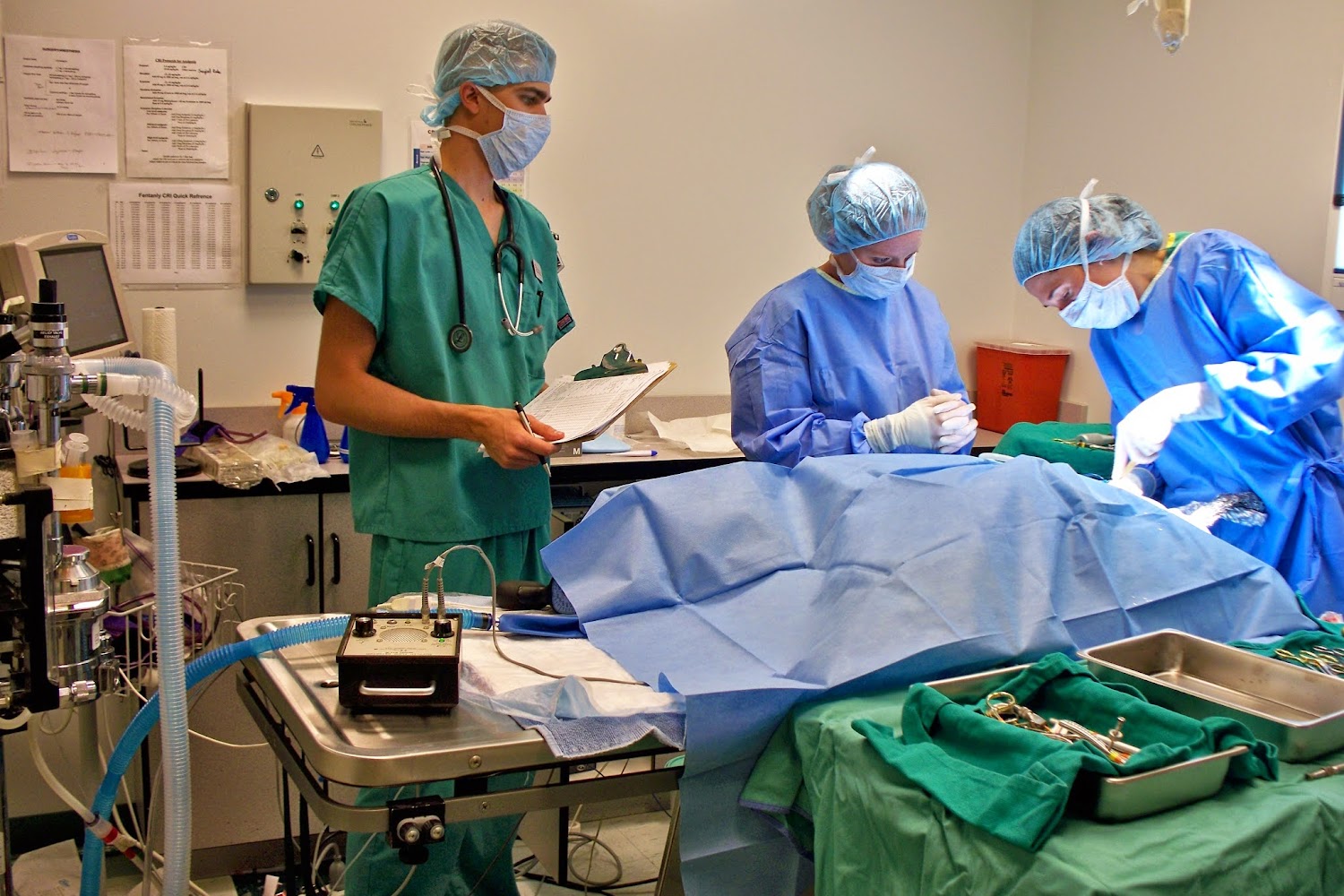 Evans Pets Emergency Hospital