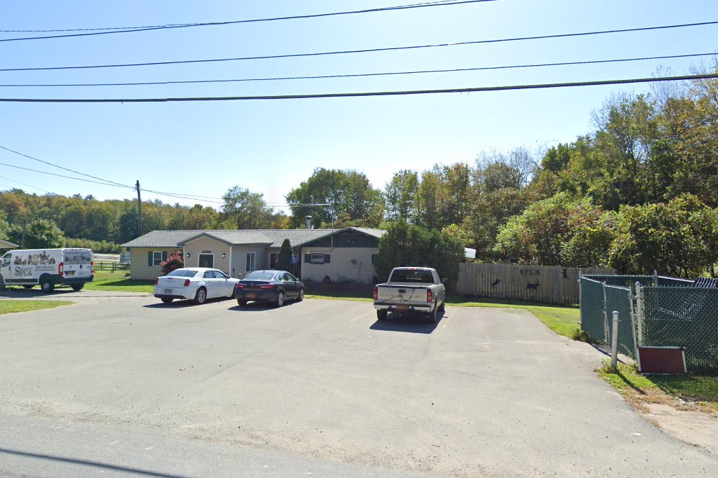 Sullivan County SPCA