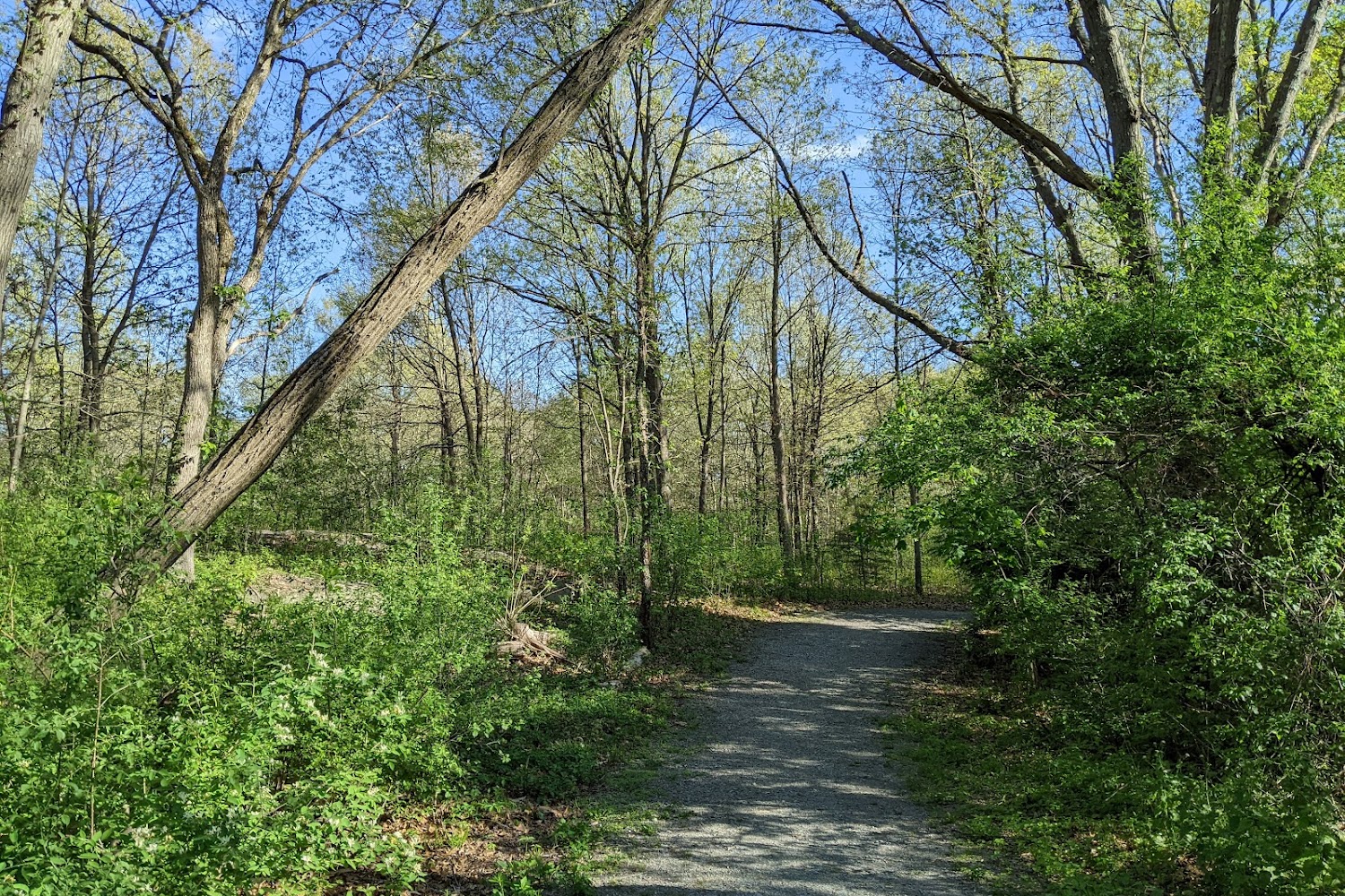 Neponset Valley Humane Society, Inc.