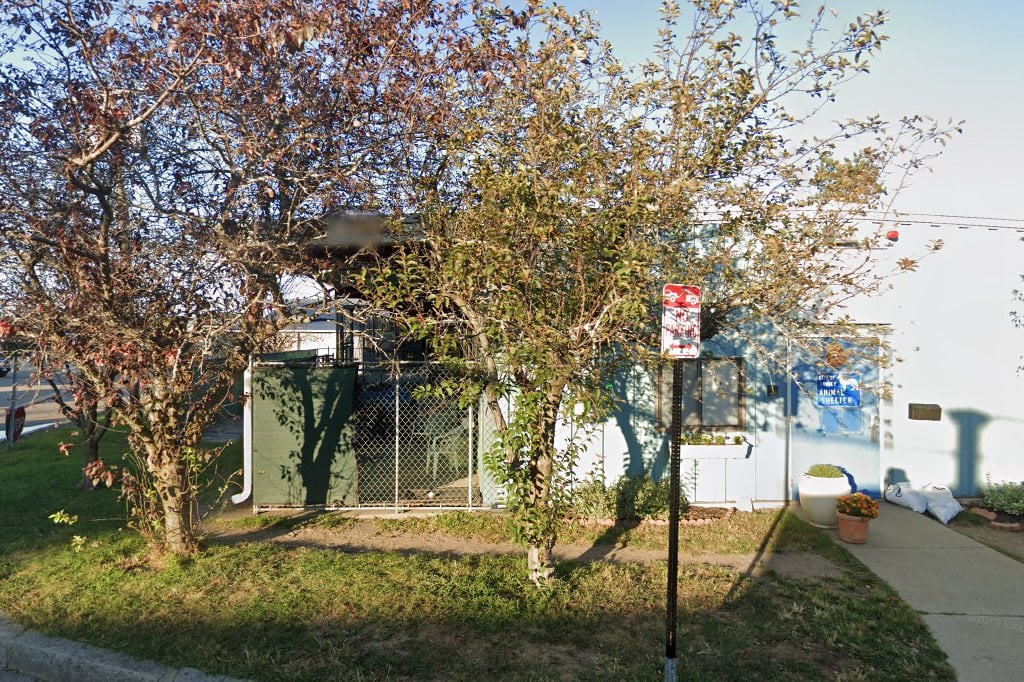 Quincy Animal Shelter