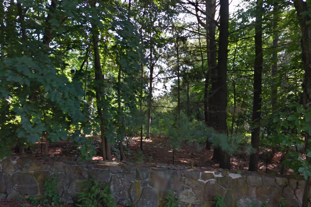 The Greyhound Project