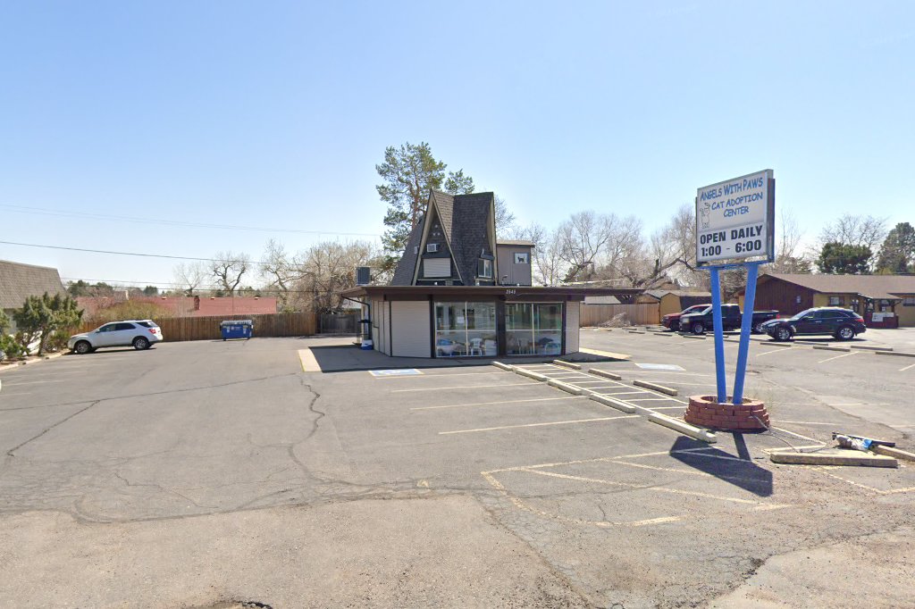 Angels With Paws Cat Adoption and Shelter