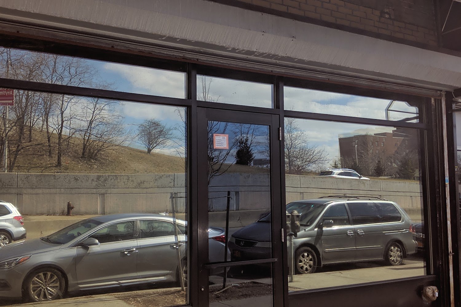 American Foundation for Animal Rescue