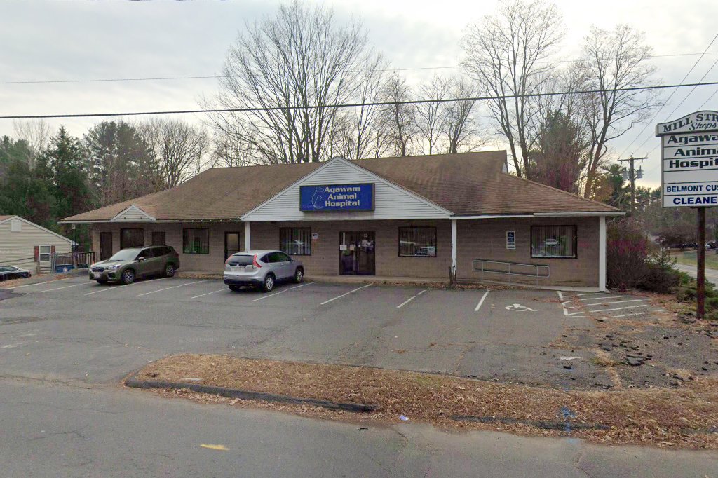 Agawam Animal Hospital
