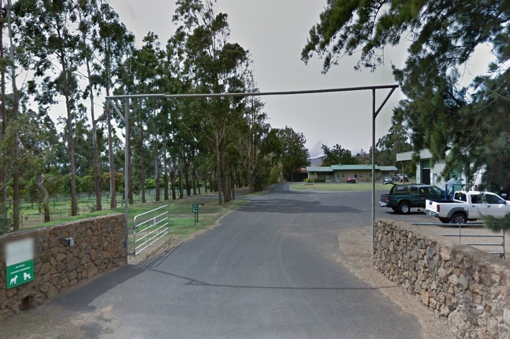 Aina Hou Animal Hospital