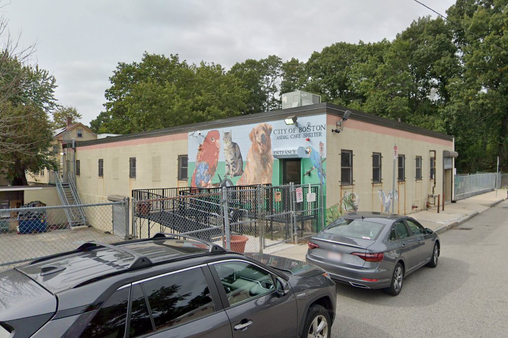 City of Boston: Animal Shelter and Adoption Center
